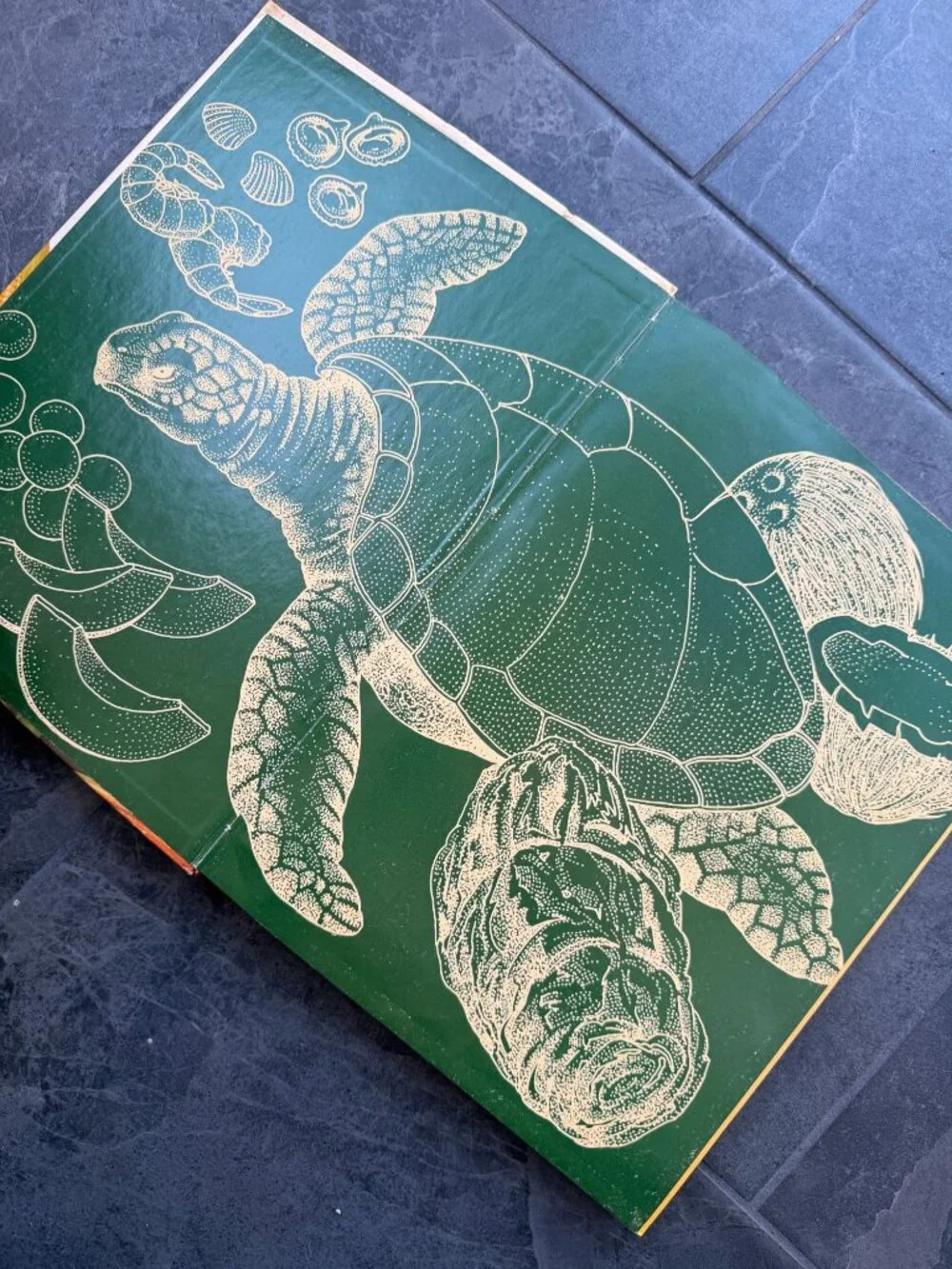La Cocina Colombiana Gran Libro De Vintage Cookbook